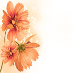 Gimtadienio atvirukai Atvirukas su oranžinėmis gėlėmis