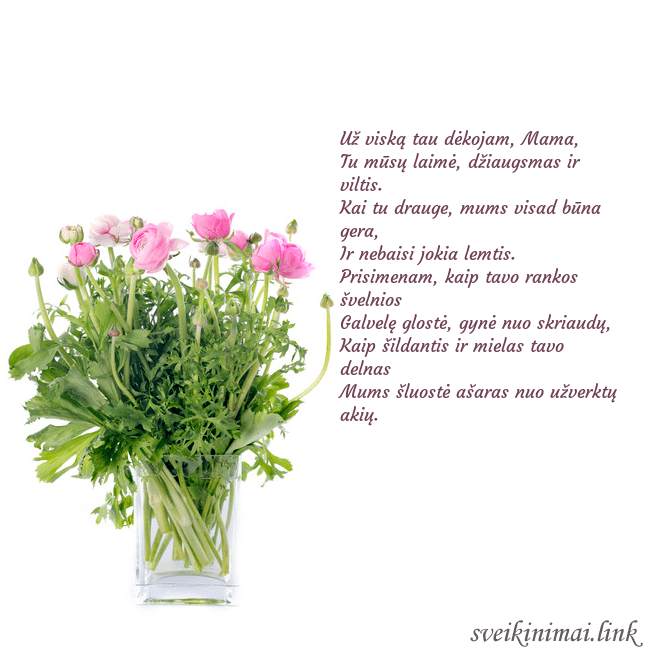 Atvirukas su gėlėmis vazoje