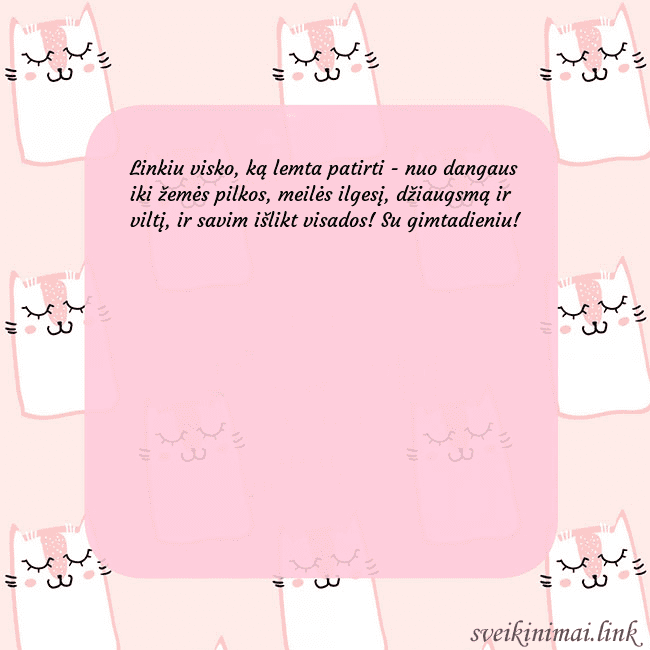 Rožinis gimtadienio atvirukas su juokingais katinais