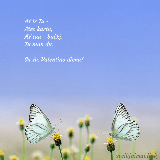 Vestuvinis atvirukas su dviem drugeliais