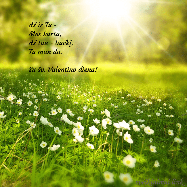 Elektroninė atvirutė su saulės spinduliuose skendinčia pieva