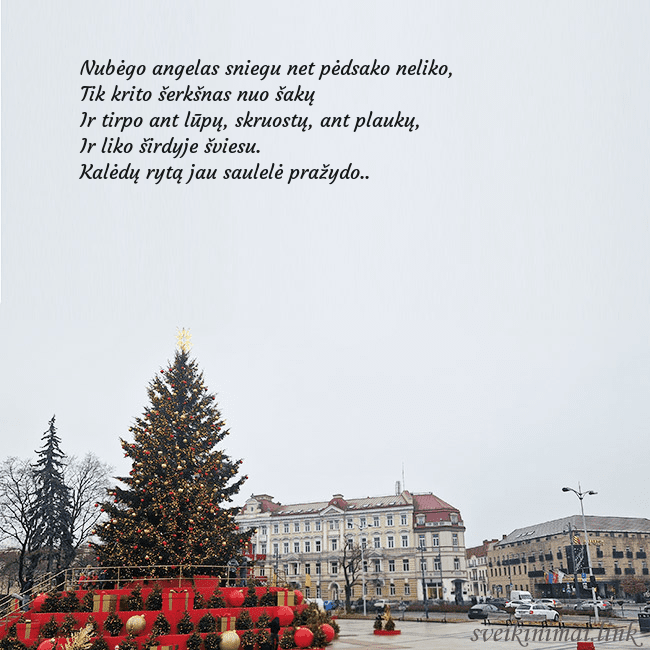 Vilniaus kalėdinė eglutė 2025