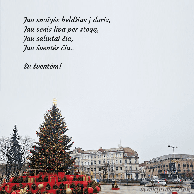 Vilniaus kalėdinė eglutė 2025