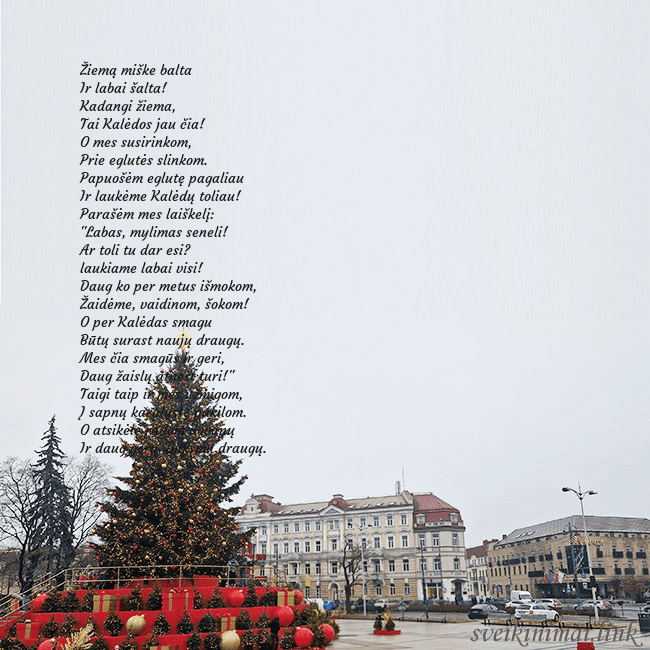 Vilniaus kalėdinė eglutė 2025