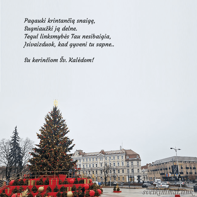 Vilniaus kalėdinė eglutė 2025