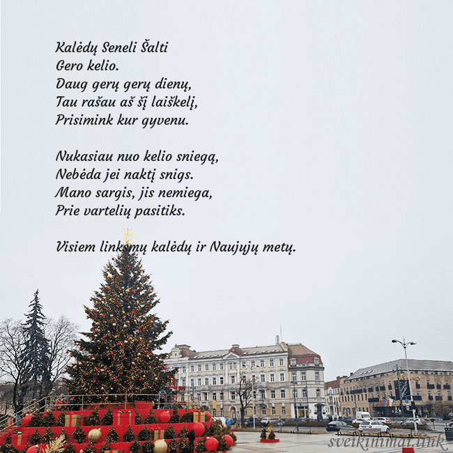 Vilniaus kalėdinė eglutė 2025