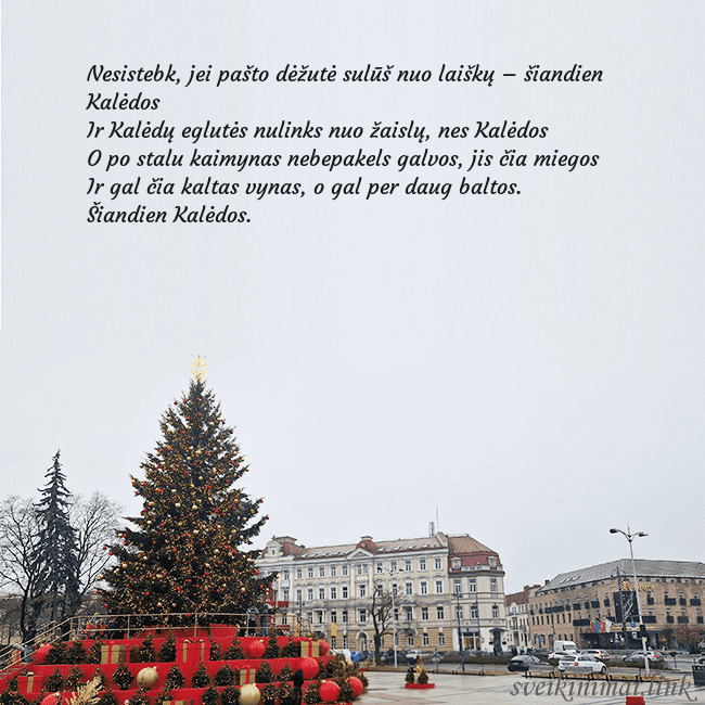 Vilniaus kalėdinė eglutė 2025