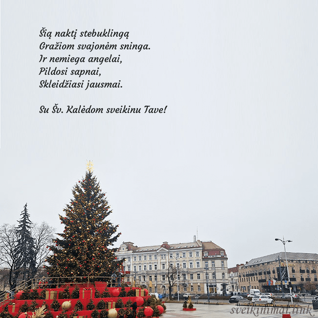 Vilniaus kalėdinė eglutė 2025