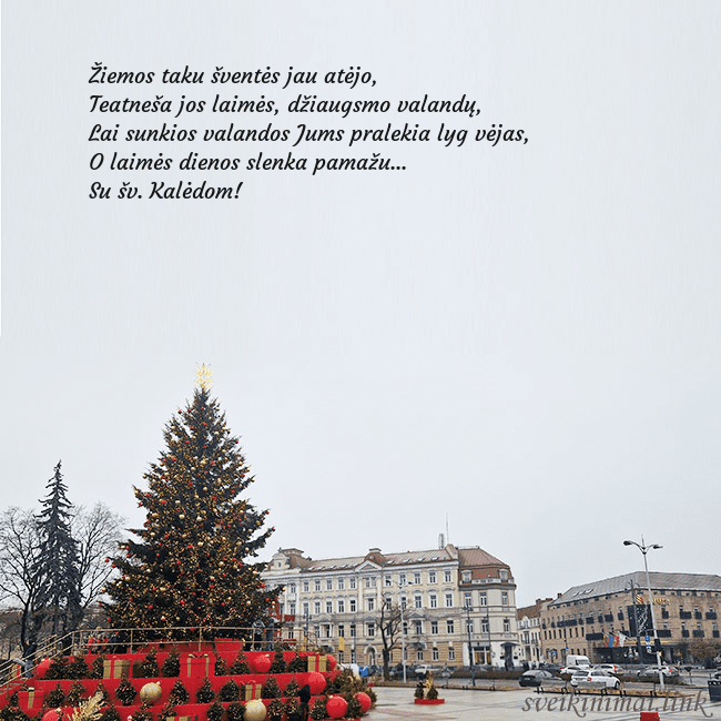 Vilniaus kalėdinė eglutė 2025
