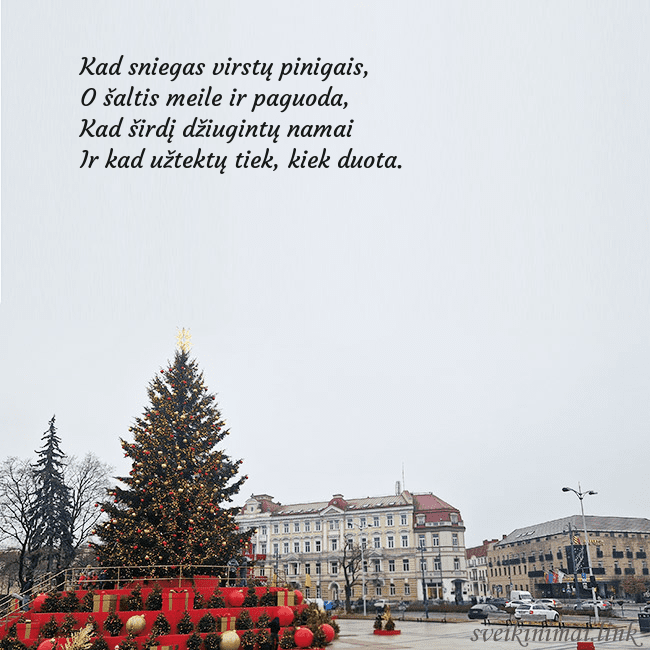 Vilniaus kalėdinė eglutė 2025