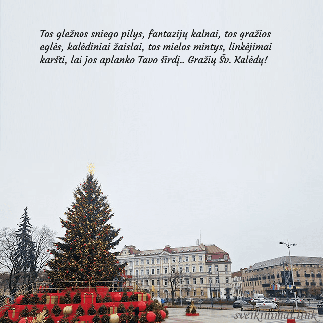 Vilniaus kalėdinė eglutė 2025