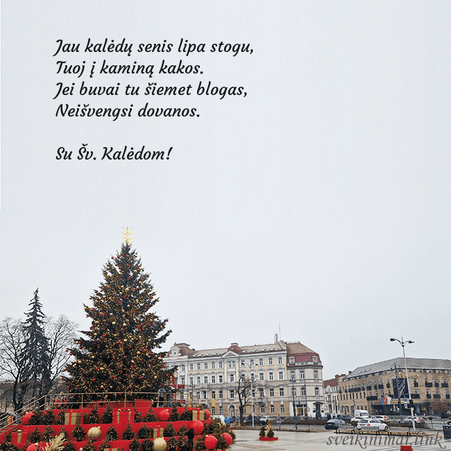 Vilniaus kalėdinė eglutė 2025