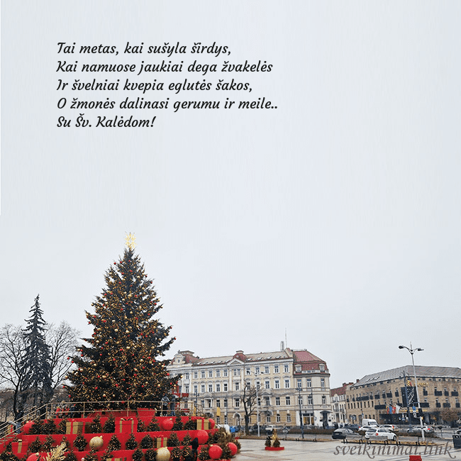 Vilniaus kalėdinė eglutė 2025