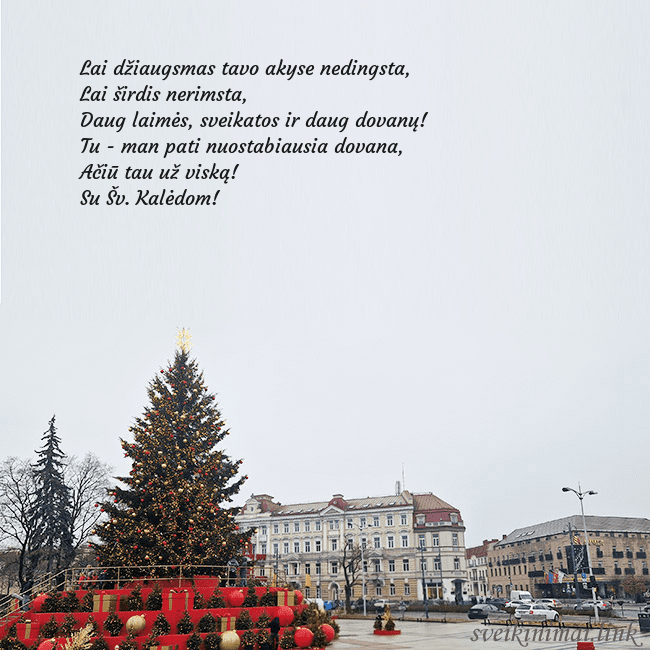 Vilniaus kalėdinė eglutė 2025