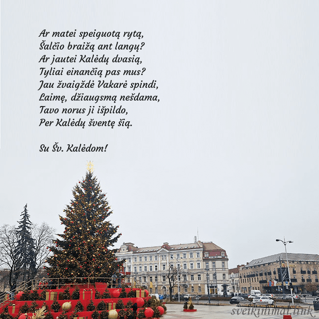 Vilniaus kalėdinė eglutė 2025