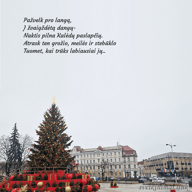 Vilniaus kalėdinė eglutė 2025