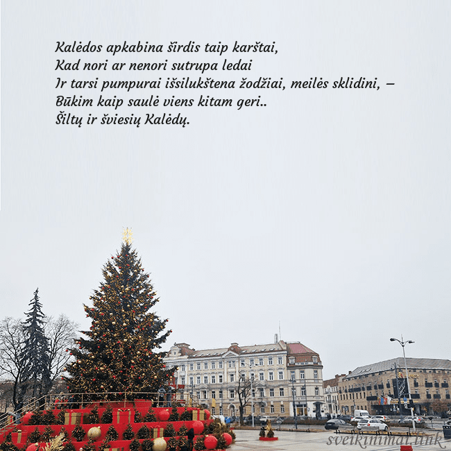 Vilniaus kalėdinė eglutė 2025