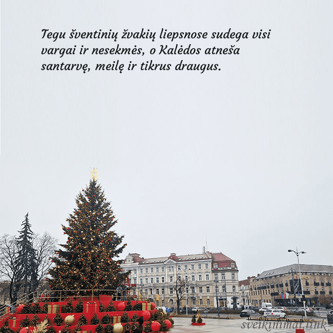 Vilniaus kalėdinė eglutė 2025