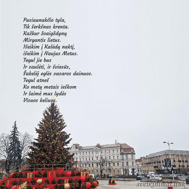 Vilniaus kalėdinė eglutė 2025