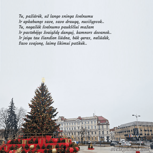 Vilniaus kalėdinė eglutė 2025