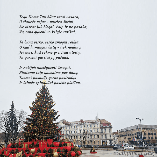 Vilniaus kalėdinė eglutė 2025