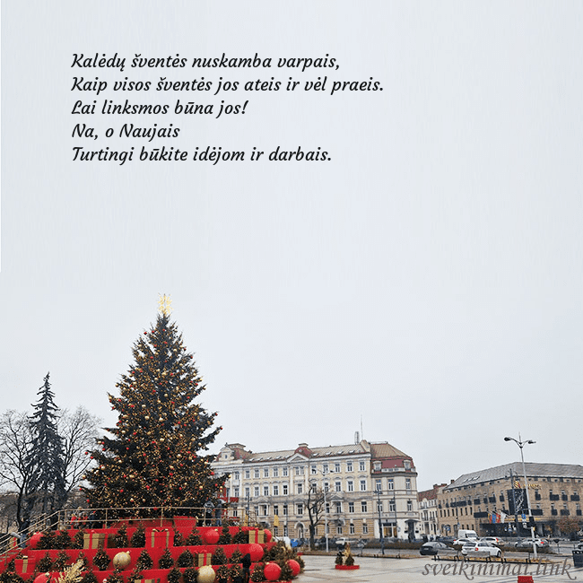 Vilniaus kalėdinė eglutė 2025