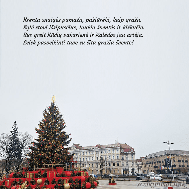 Vilniaus kalėdinė eglutė 2025