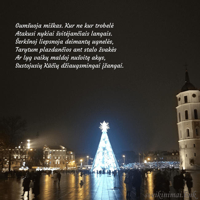 Atvirukas Kalėdos Vilniuje, Naujieji metai Gumšuoja miškas. Kur ne kur trobelė
Atakusi nykiai Atvirukas Kalėdos Vilniuje, Naujieji metai