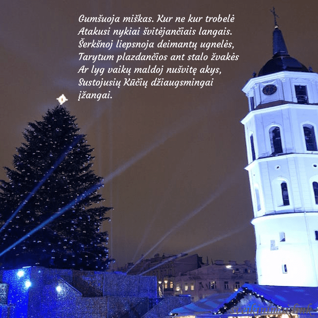 Vilniaus eglutė 2023