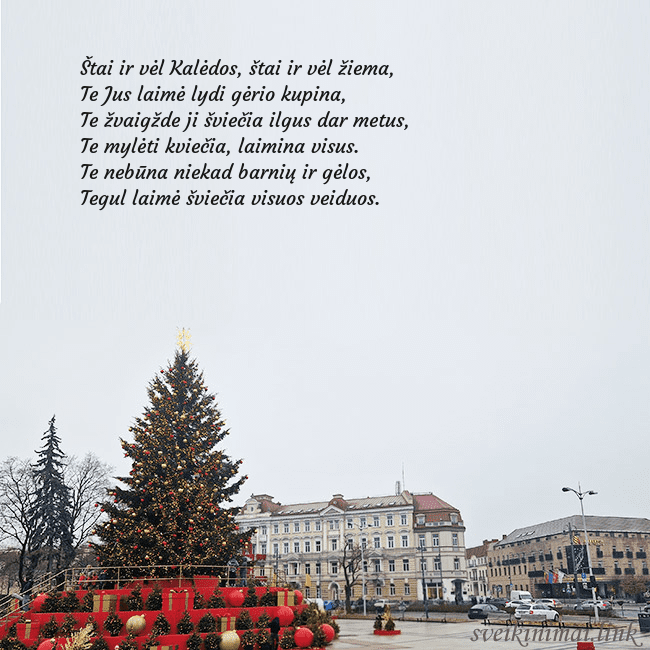 Vilniaus kalėdinė eglutė 2025