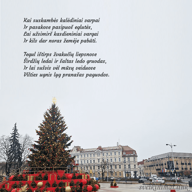 Vilniaus kalėdinė eglutė 2025