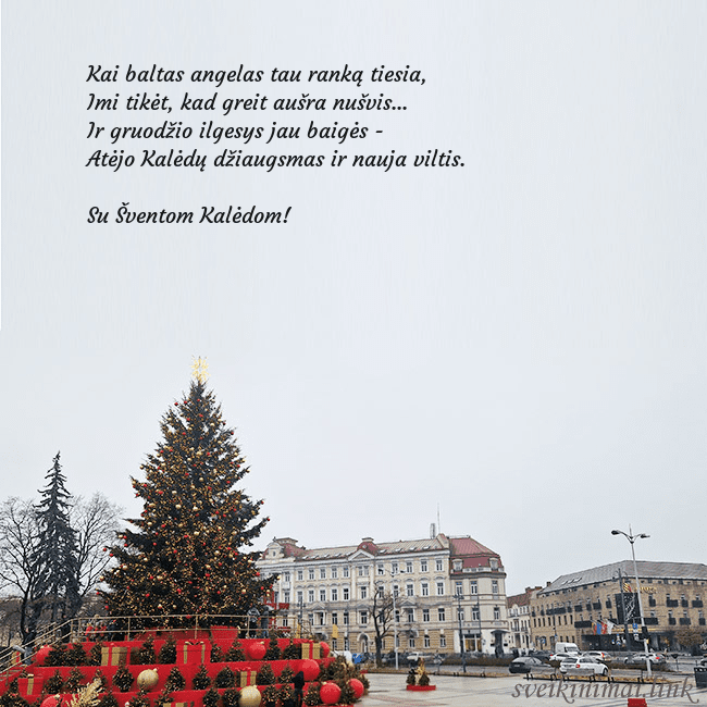 Vilniaus kalėdinė eglutė 2025