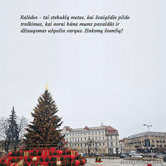 Vilniaus kalėdinė eglutė 2025