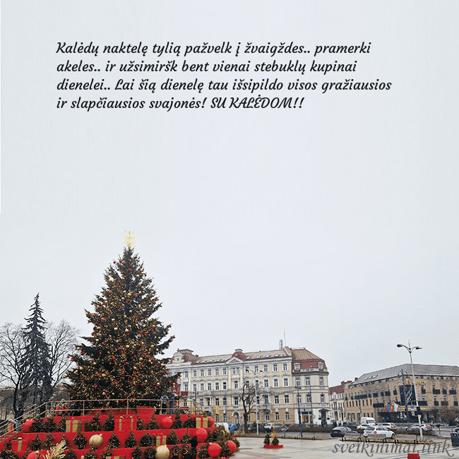 Vilniaus kalėdinė eglutė 2025