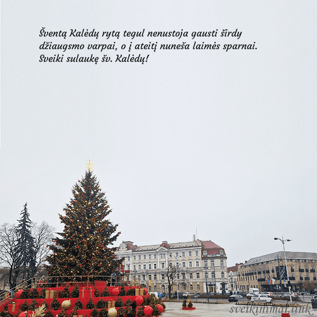 Vilniaus kalėdinė eglutė 2025