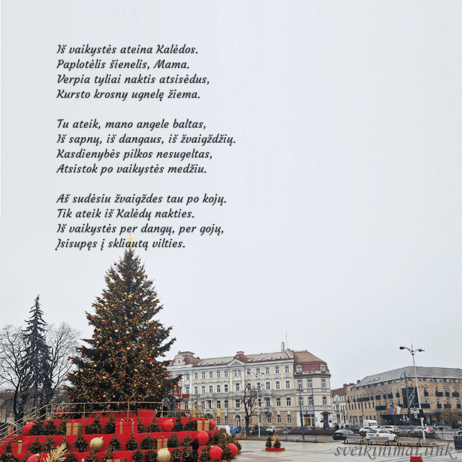 Vilniaus kalėdinė eglutė 2025