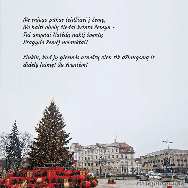 Vilniaus kalėdinė eglutė 2025
