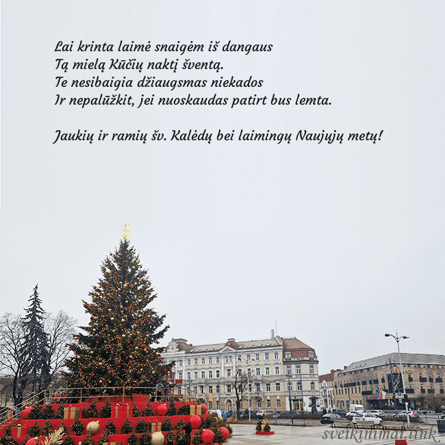 Vilniaus kalėdinė eglutė 2025