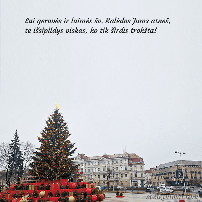 Vilniaus kalėdinė eglutė 2025