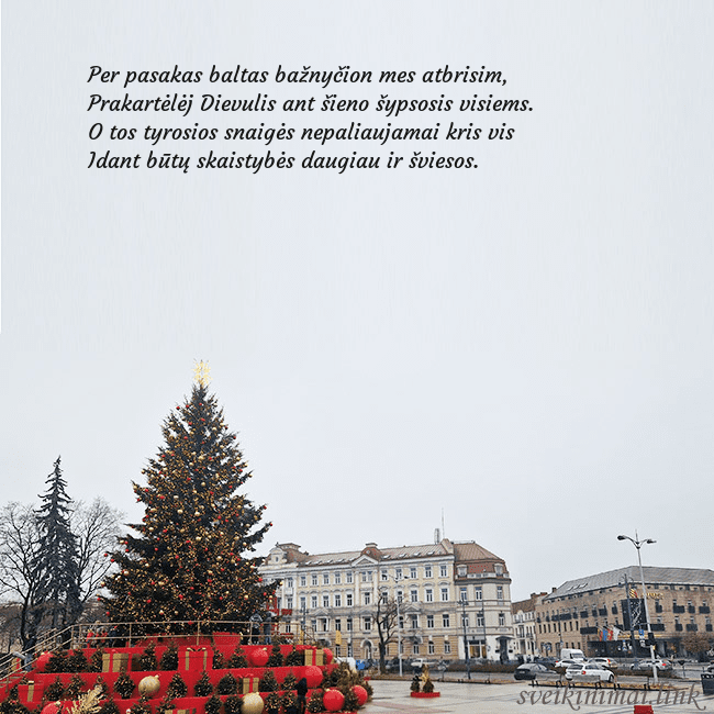 Vilniaus kalėdinė eglutė 2025