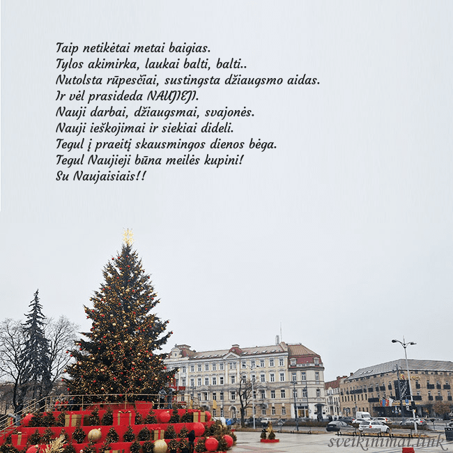 Vilniaus kalėdinė eglutė 2025