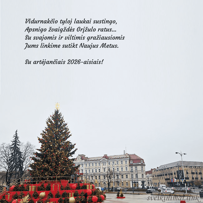 Vilniaus kalėdinė eglutė 2025