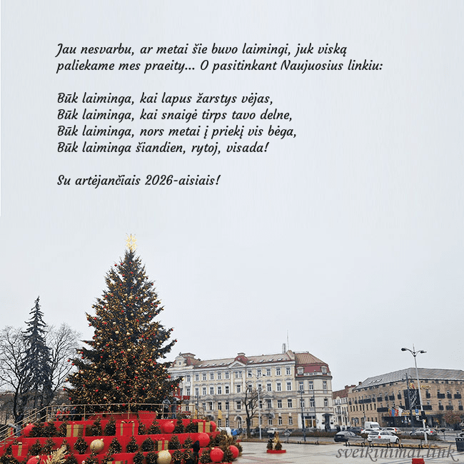 Vilniaus kalėdinė eglutė 2025