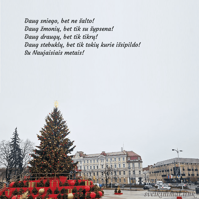 Vilniaus kalėdinė eglutė 2025