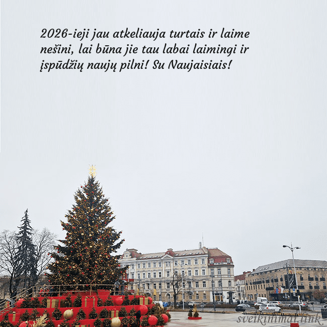 Vilniaus kalėdinė eglutė 2025