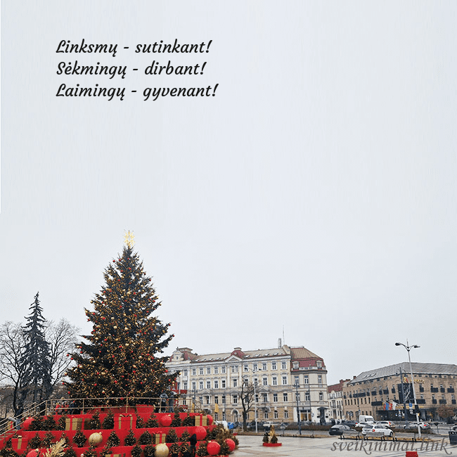 Vilniaus kalėdinė eglutė 2025