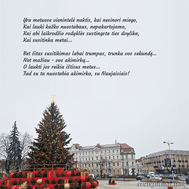 Vilniaus kalėdinė eglutė 2025