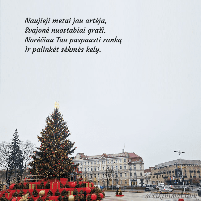Vilniaus kalėdinė eglutė 2025