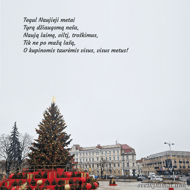 Vilniaus kalėdinė eglutė 2025