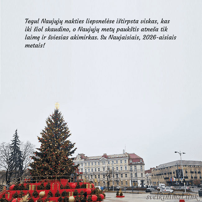 Vilniaus kalėdinė eglutė 2025